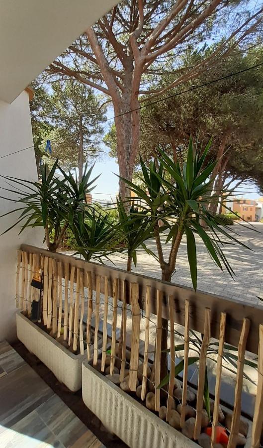 T2-3 Cabine Les Yuccas 200 M Plage Du Boucanet Rive Droite Grau Du Roi Ideal 2-4 Pers Le Grau-du-Roi Zewnętrze zdjęcie