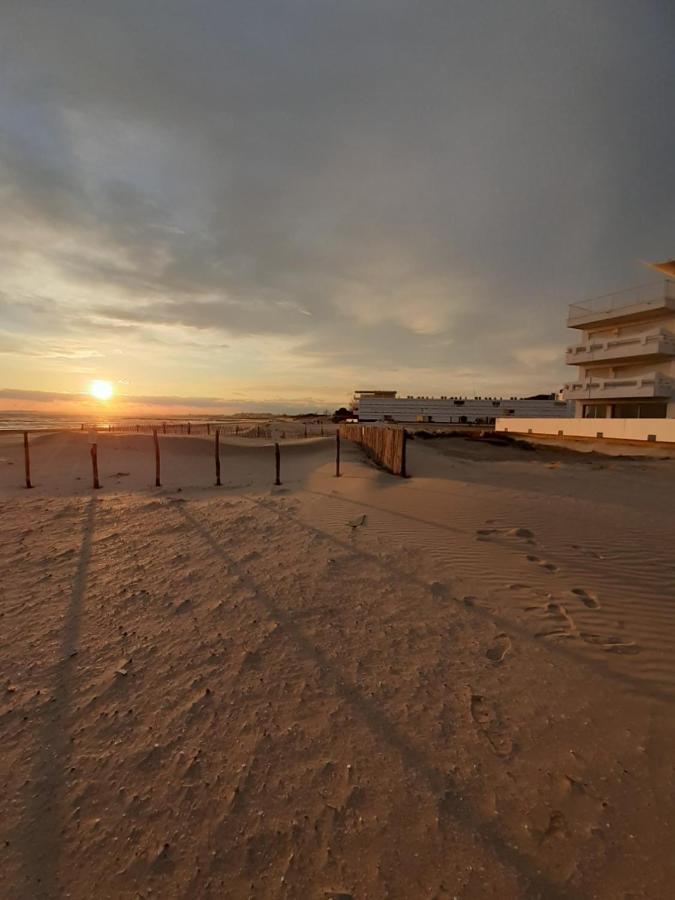 T2-3 Cabine Les Yuccas 200 M Plage Du Boucanet Rive Droite Grau Du Roi Ideal 2-4 Pers Le Grau-du-Roi Zewnętrze zdjęcie